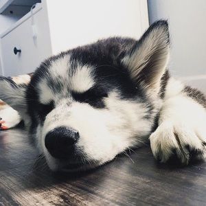 Meet your Posher, Rhoderic